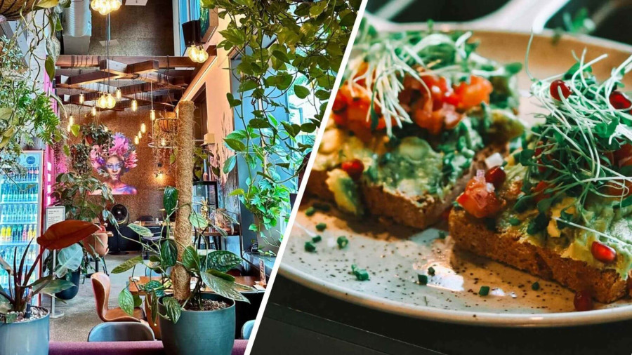 Veganes Brunchangebot bei BEETNUT in Zürich