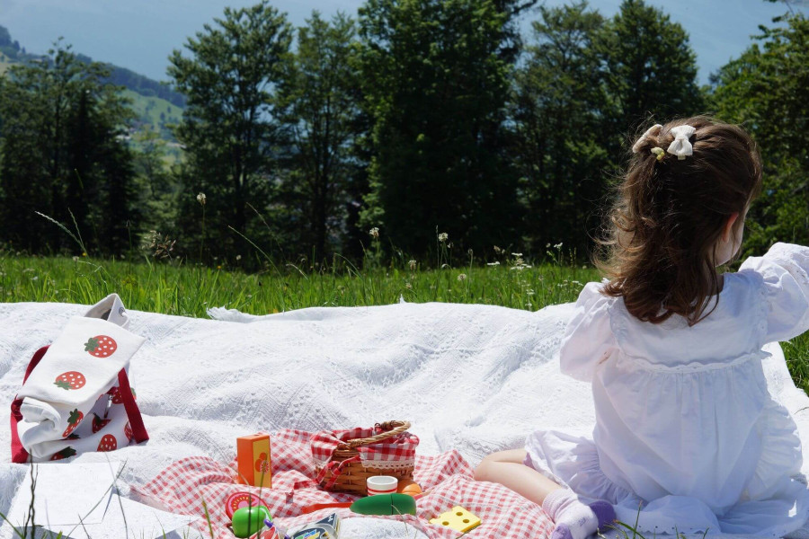Familien-Zmorge Picknick & Chugelbahn Abenteuer für die ganze Familie auf der Seebodenalp mit Momentized