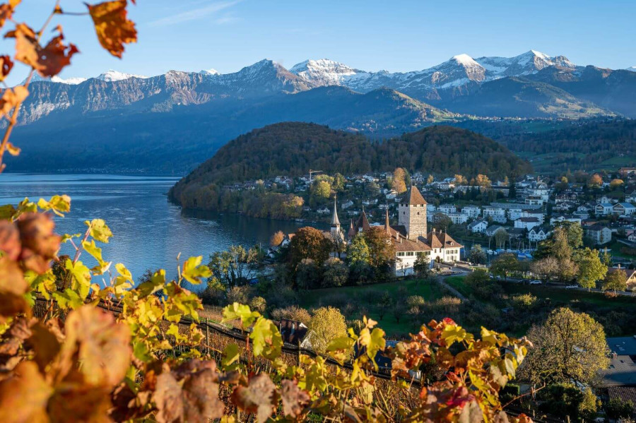 Schlossfrühstück mit Museumsbesuch im Schloss Spiez und Schifffahrt auf dem Thunersee
