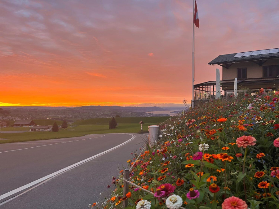 Multi-Kulti Brunch im Restaurant zum Paradies Büel in Feusisberg