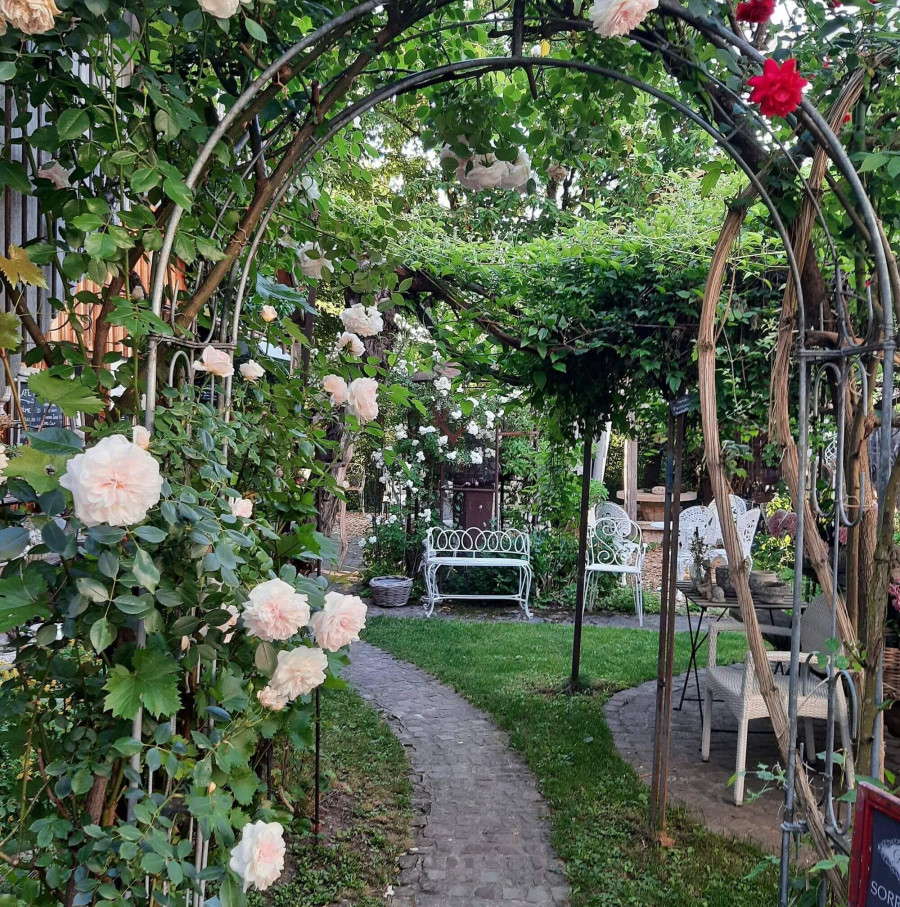 Geniesserfrühstück im Gartentropfen in Oberstammheim