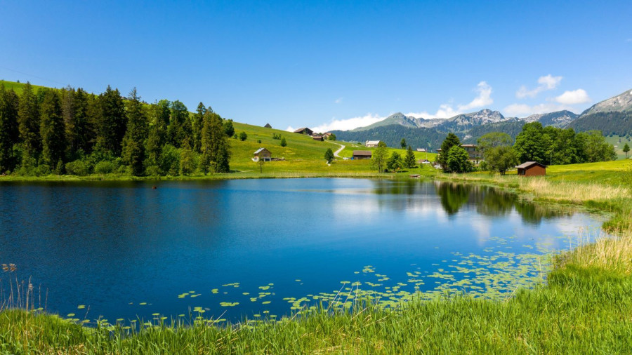 Erlebnis im Stump's Alpenrose in Wildhaus