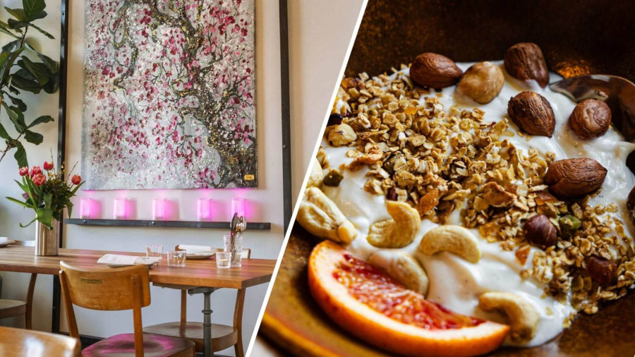 Plant based Brunch im ANOAH in Zürich